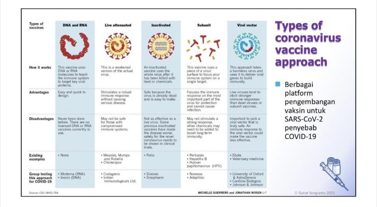 Efek Vaksinasi COVID19 Yang Perlu Diketahui  Mamak Pintar