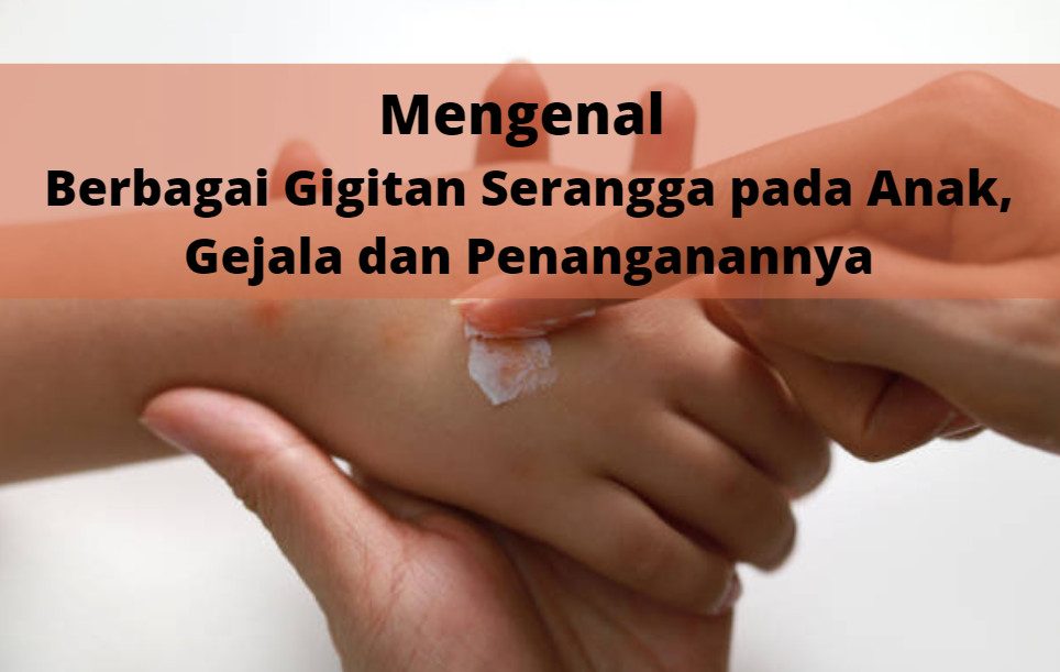 Mengenal Berbagai Gigitan Serangga pada Anak, Gejala dan Penanganannya