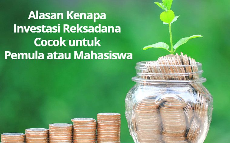 Alasan Kenapa Investasi Reksadana Cocok untuk Pemula atau Mahasiswa