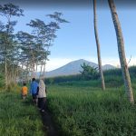 Jalan Kaki Pagi Hari, Olahraga dan Menikmati Keindahan Alam
