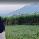 Slow Living, Menjalani Hidup Lebih Pelan, tak Harus Pindah ke Desa