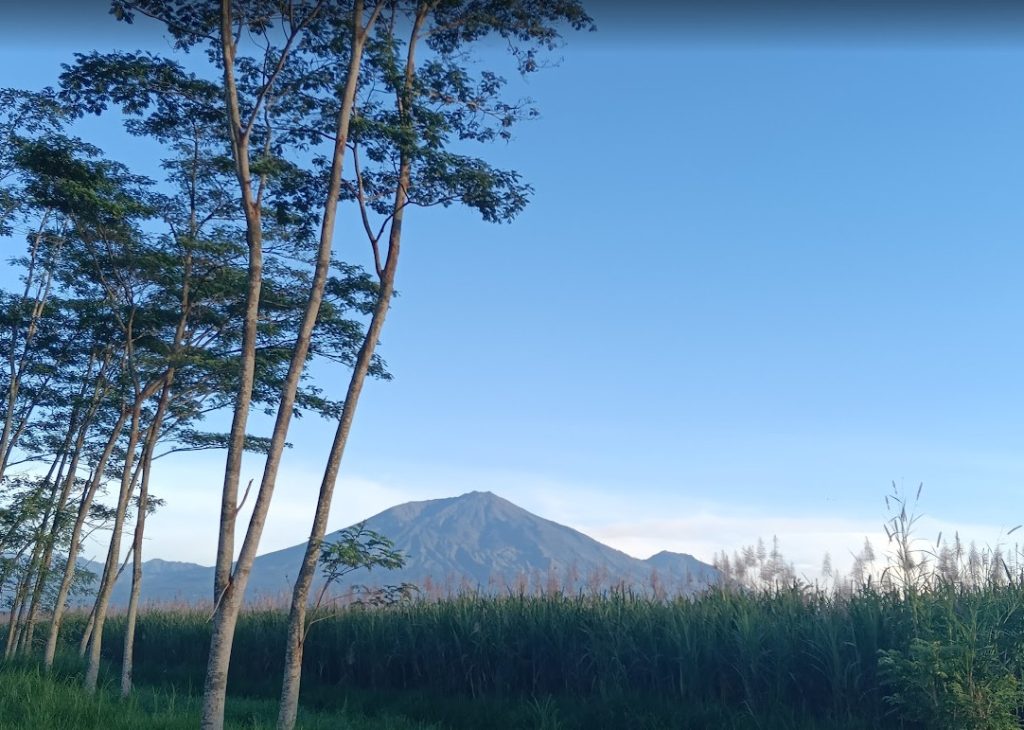 pemandangan gunung arjuno