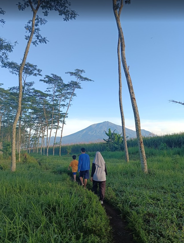 olahraga jalan kaki pagi hari