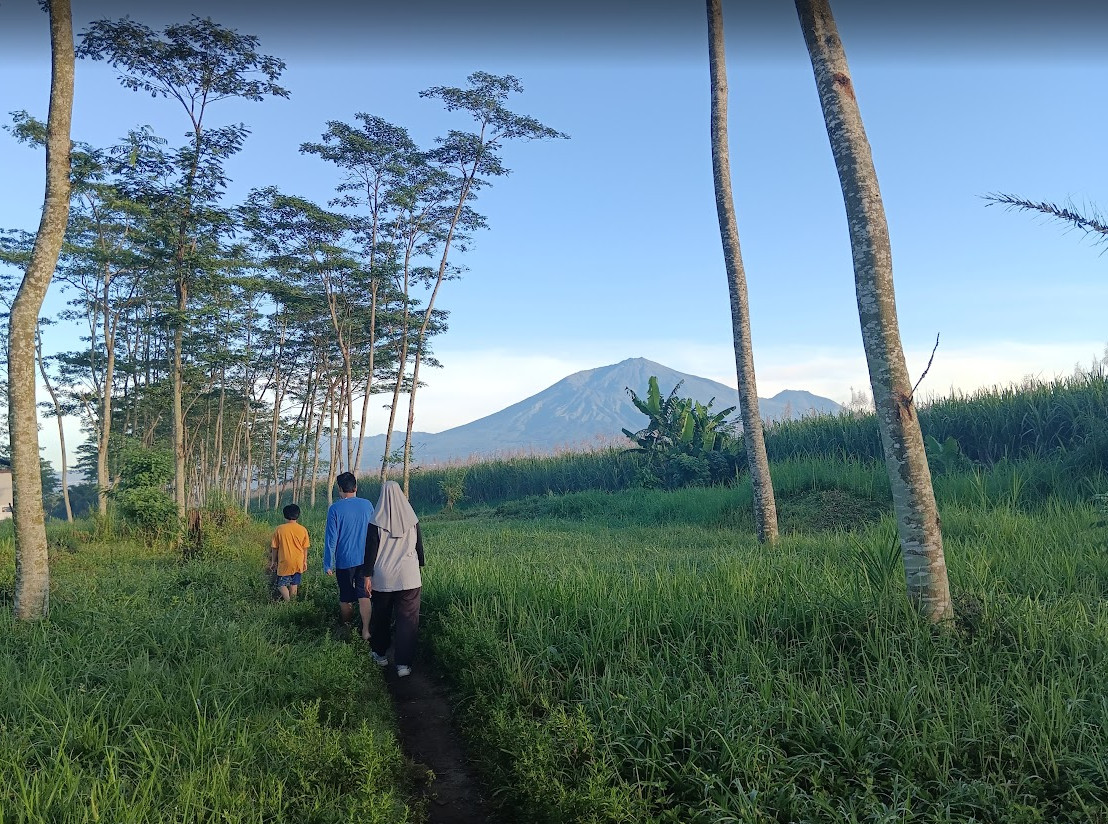 pemandangan gunung arjuno