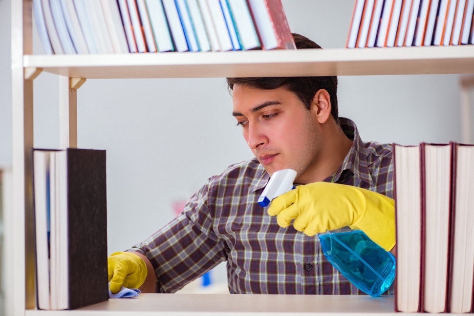 jasa pembersih rayap